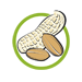 Erdnüsse und Erdnusserzeugnisse